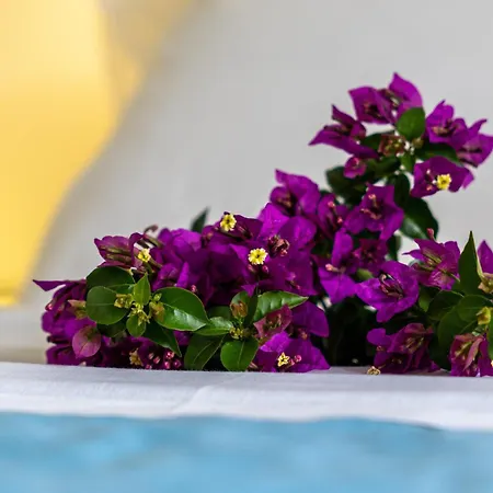 Angelina 3 Apartmán