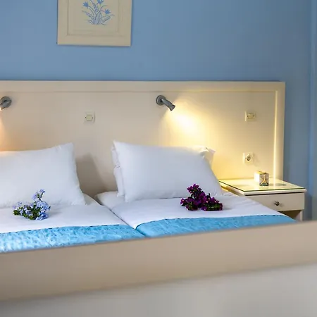 Angelina 3 Appartement