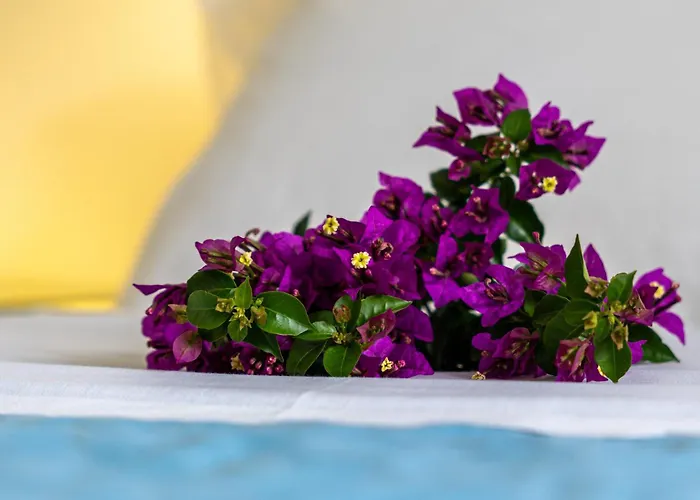 Angelina 3 Lägenhet