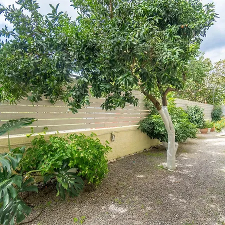 Angelina 3 Apartment Roda (Corfu)